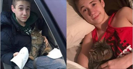 michigan teen saves cat