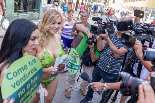 lettuce ladies cuba trip: interviews for tv