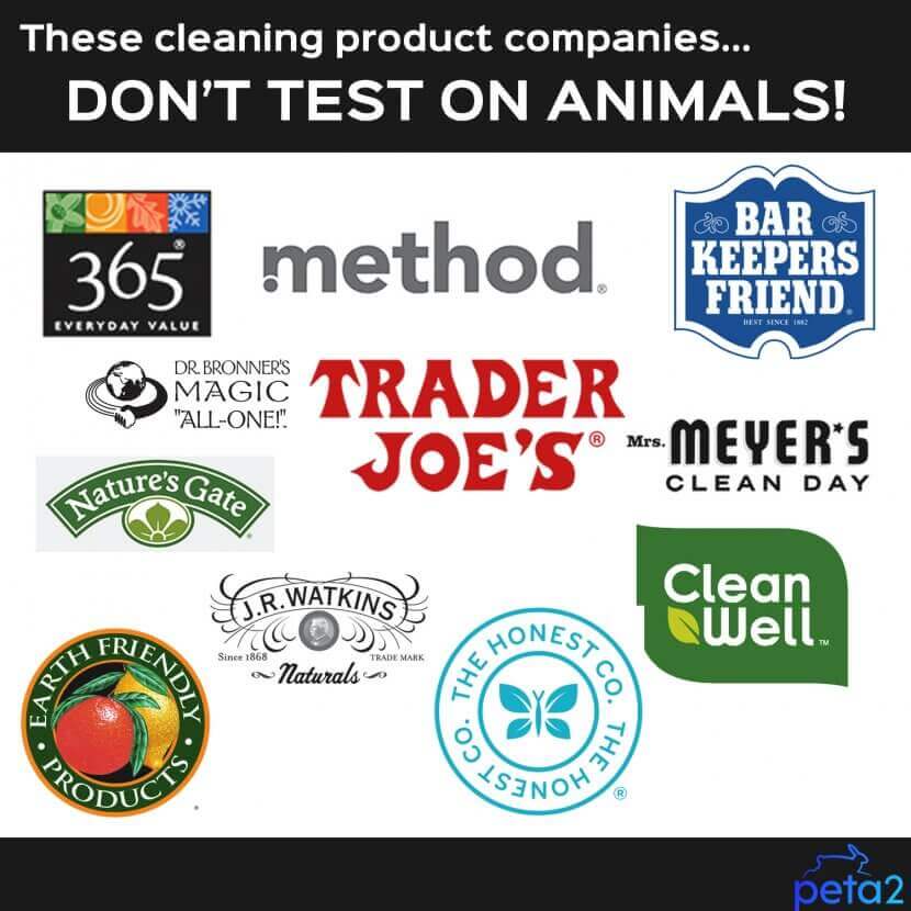 Method to the Madness: Cruelty-Free Cleansers
