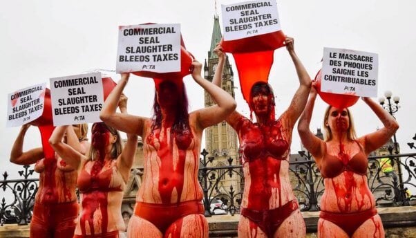 Protesters pour buckets of fake blood over their heads in Ottawa