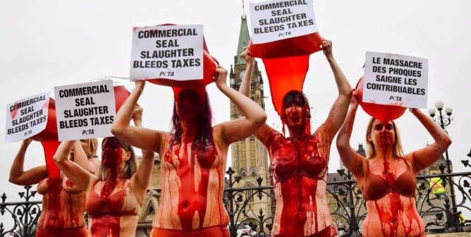 Protesters pour buckets of fake blood over their heads in Ottawa
