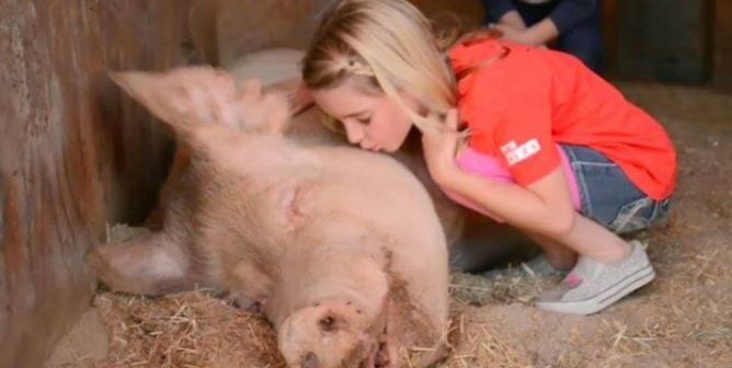 mckenna grace kissing pig