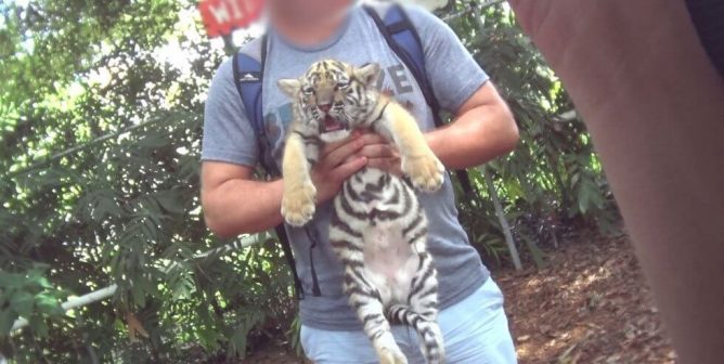 dade city's wild things closed after peta push