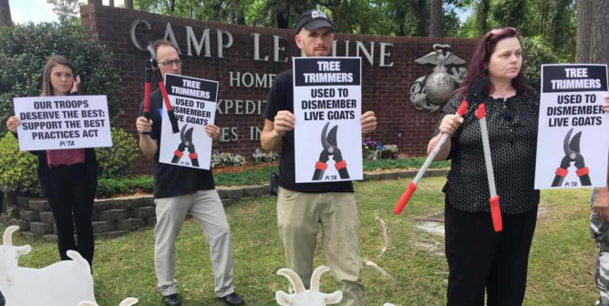 Alleged Sexual Predator Who Abused Troops, Stabbed Animals Goes Out of Business