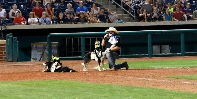 Shocking Monkey-Dog-Sheep Rodeo and How PETA Members Got It Stopped