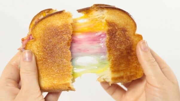 stretchy daiya rainbow grilled cheese sandwich