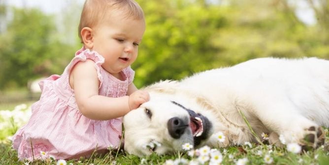 Cruelty-Free Diapers and Other Baby-Care Products for Kind Families