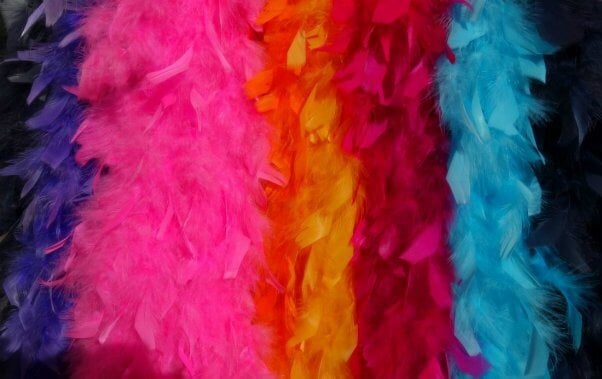 Many colorful feather boas.