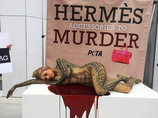 PETA Confronts Hermès CEO Over Exotic Skins at Annual Meeting – WWD