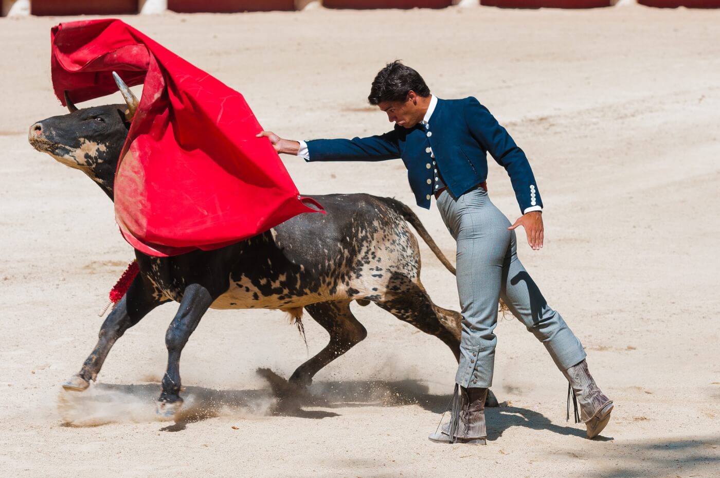 matador with red cape and bull in bullfighting ring