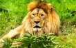 Trophy Hunters Given Over 30 Permits to Import Exotic-Animal Parts Trophy Hunters Given Over 30 Permits to Import Exotic-Animal Parts
