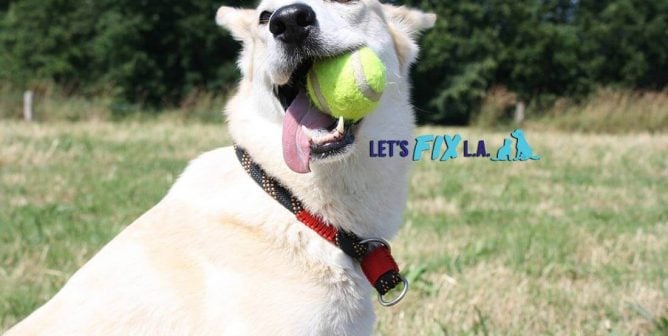 lets fix la xpost featured