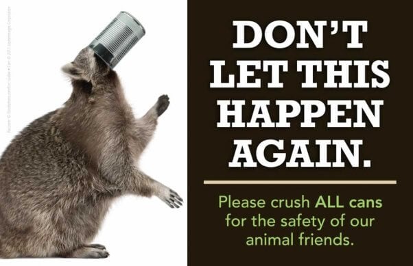An ad with a picture of a raccoon with his head stuck in a can - headline reads "Don