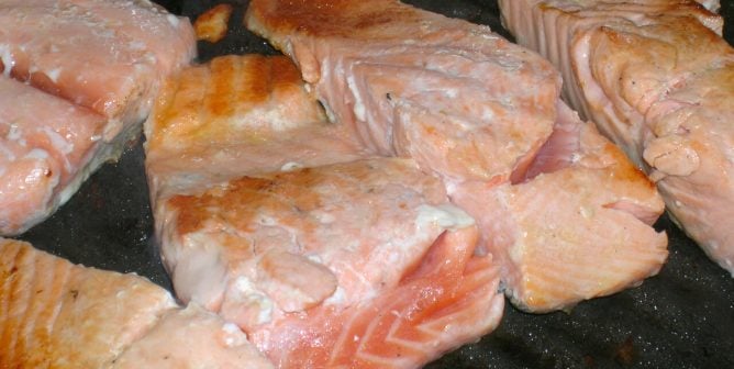 What’s the White Goo That Oozes out of Salmon?