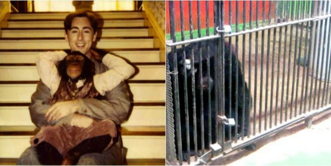 Alan Cumming and Tonka in 1997, Tonka in 2016