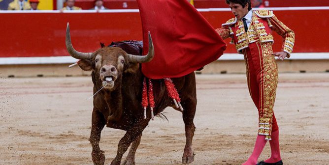 bullfighting
