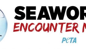 SeaWorld: Encounter Misery