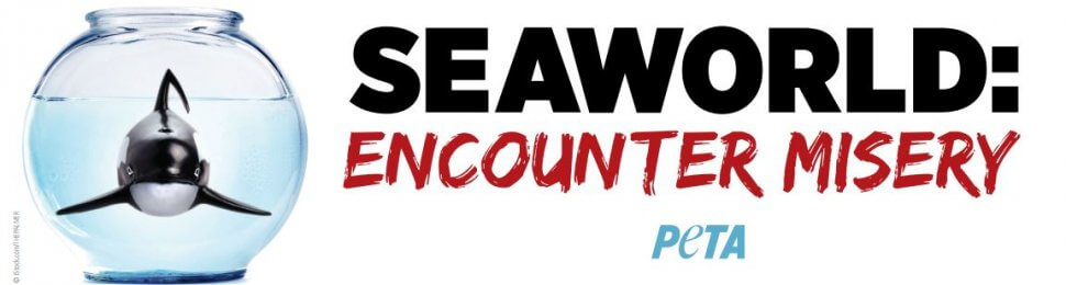 SeaWorld: Encounter Misery