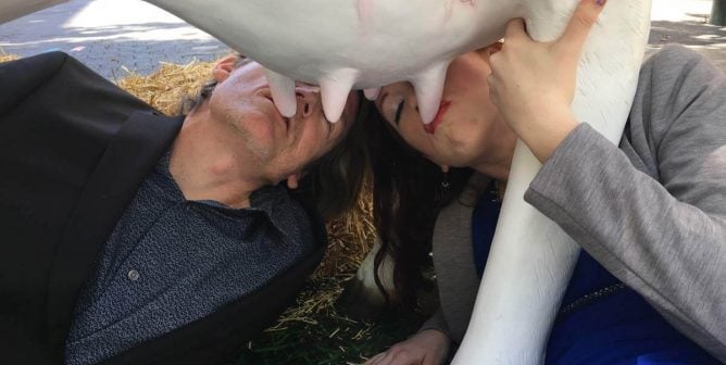 two humans suckle from a cow udder to show the reality of dairy