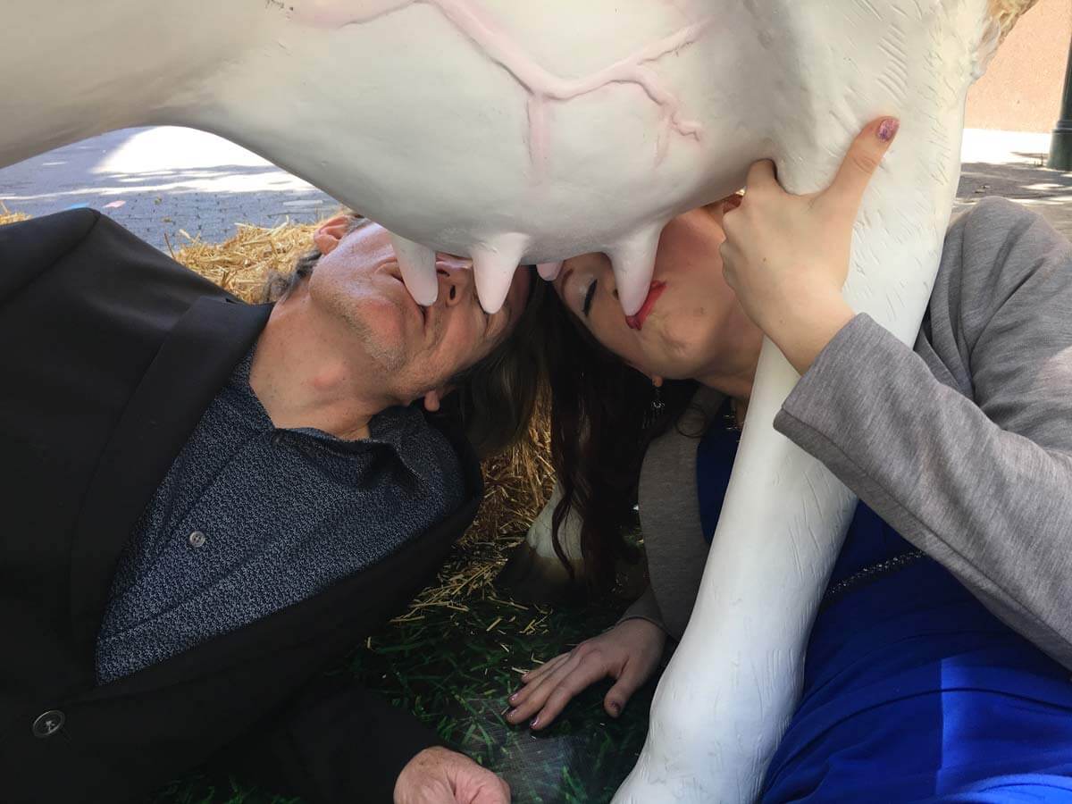 two humans suckle from a cow udder to show the reality of dairy