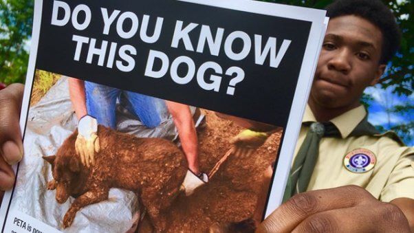 boy scouts, peta reward, lulu, dog buried alive