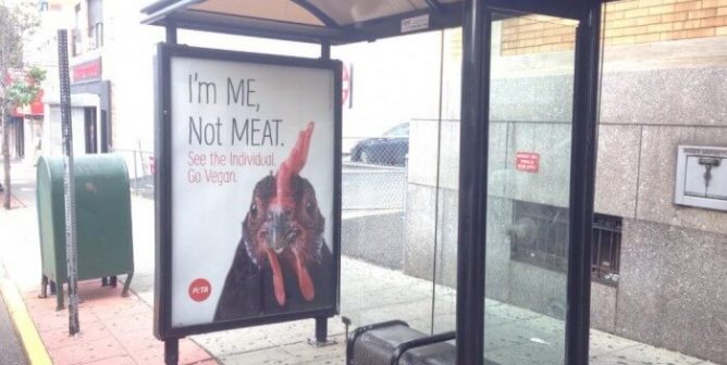 New PETA Ad Blitz Targets Bus Stops Outside Popular Fast-Food Joints