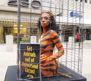 Nikki Ford UniverSoul Protest Tiger Stripes Body Paint Victory! UniverSoul Circus Drops Animal Acts