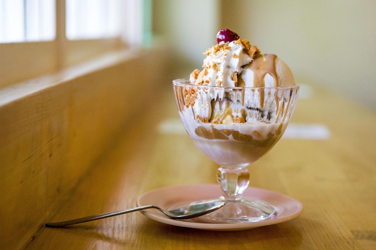 DIY: Make Vegan Ice Cream with Your Students