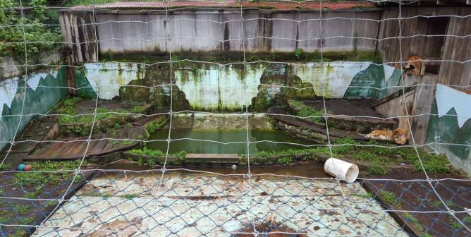 PETA files lawsuit over treatment of animals at Tri-State Zoo