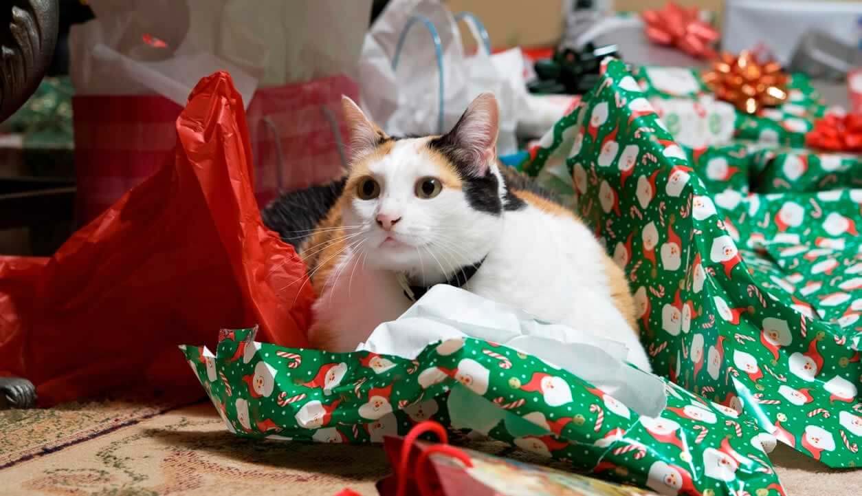 Animal-Friendly Decor for the Holidays (December 2022) | PETA