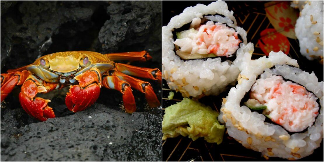 When You Find Out What Imitation Crab Is, You Might Gag | PETA