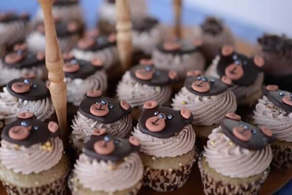 Vegan cupcakes with cute smiling bear faces on top