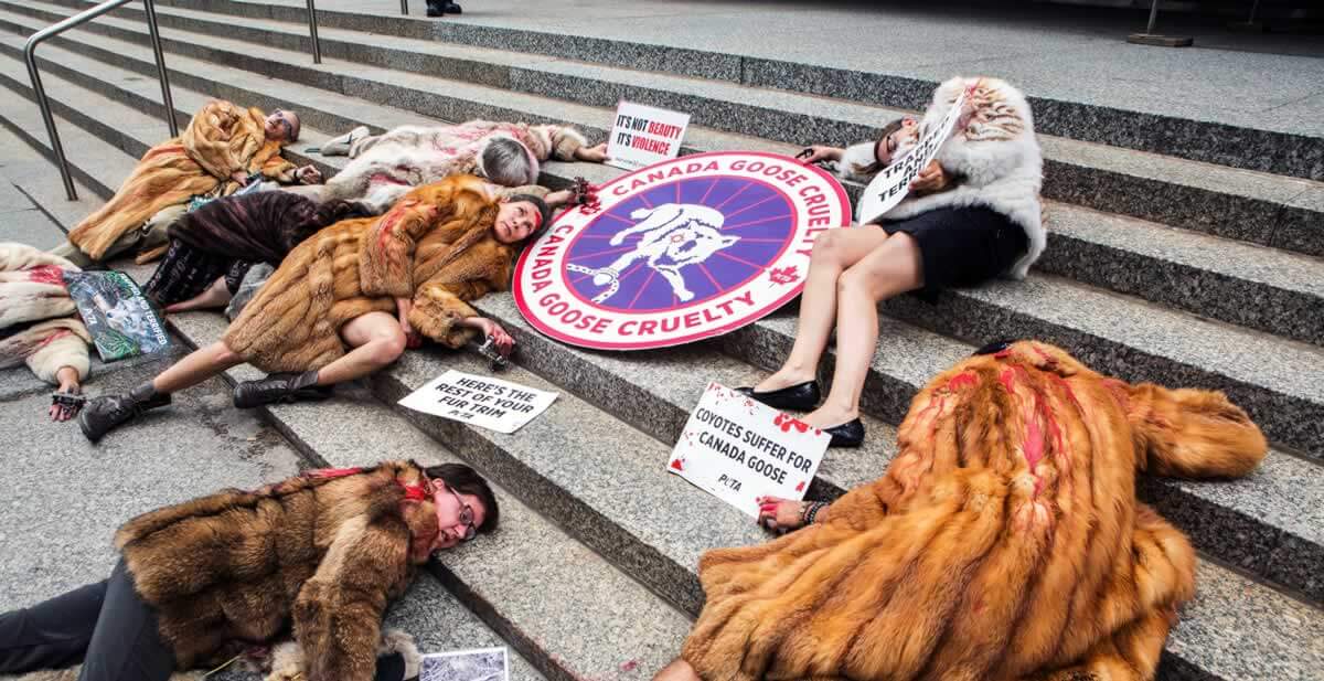 Shareholder Showdown 'Bloody' PETA Supporters Protest Outside Canada Goose Meeting PETA