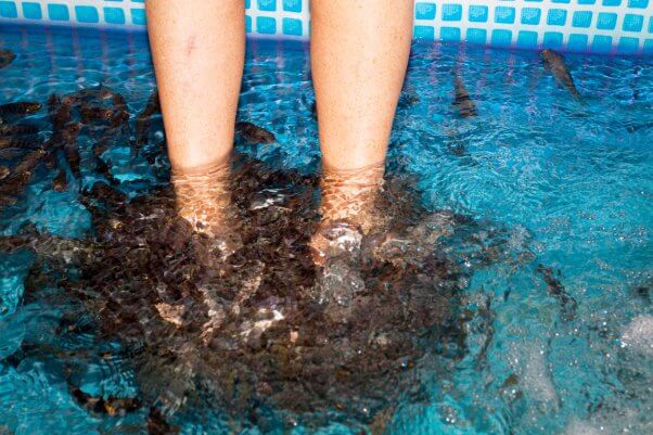 Enhance Your Feet With A Unique Fish Pedicure Experience