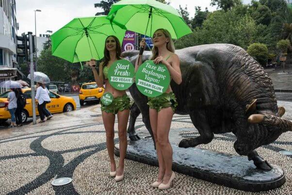 with green umbrellas, the lettuce ladies ride out a storm in Istanbul