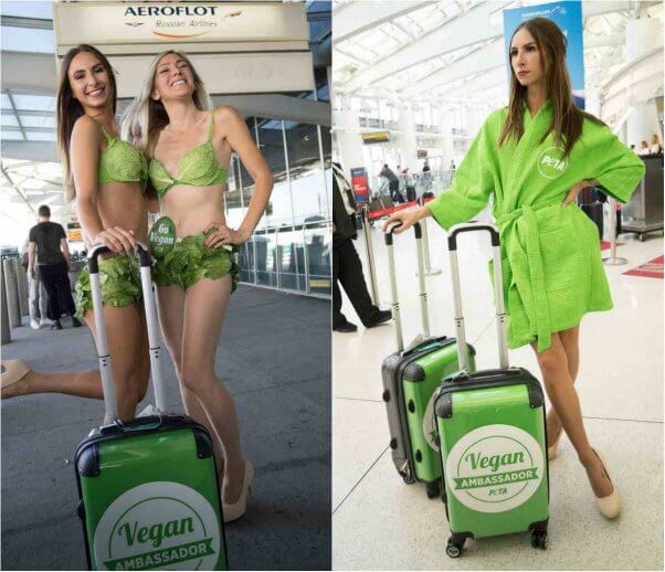 PETA's Lettuce Ladies depart JFK for Russia