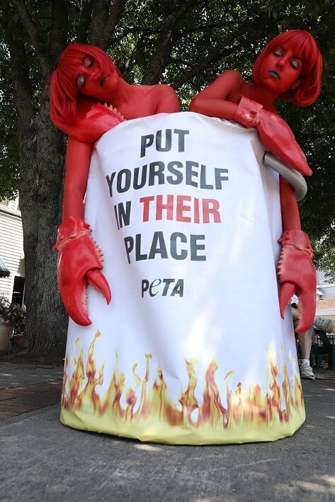 Maine Lobster Festival demo, PETA lobster protest, giant pot demo