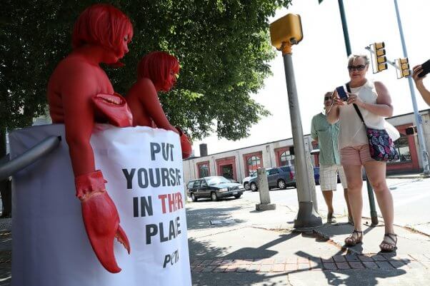 Maine Lobster Festival demo, PETA lobster protest, giant pot demo