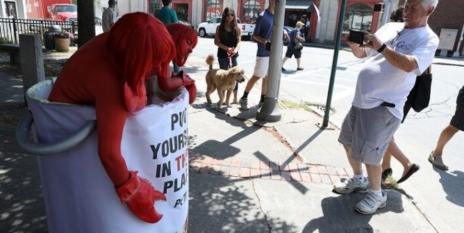 Maine Lobster Festival demo, PETA lobster protest, giant pot demo