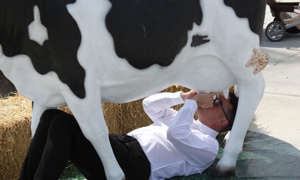 New York state fair, cow suckling demo, not your mom not your milk demo