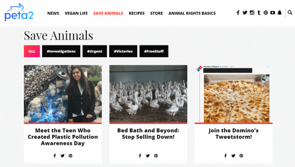 short essays on kindness to animals short essays on kindness to animals