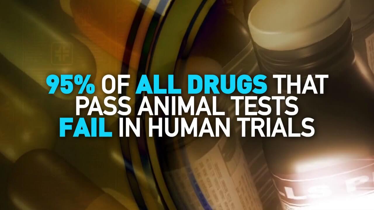 Experiments on Animals Fail 90% of the Time. Why Are They Still Done