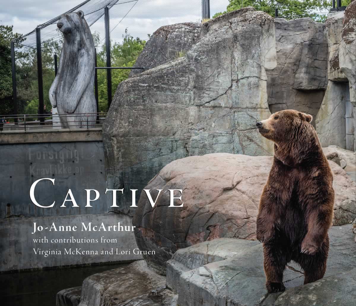 These Photos of Captive Animals Will Break Your Heart These Photos of Captive Animals Will Break Your Heart