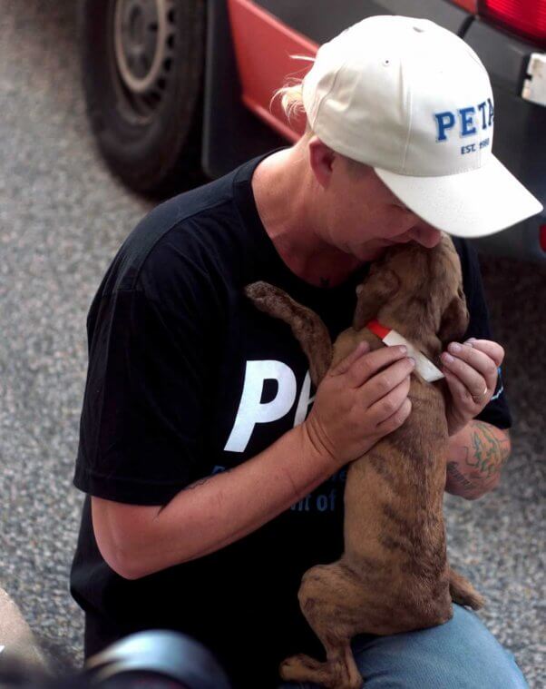 PETA staffer snuggling small brown dog