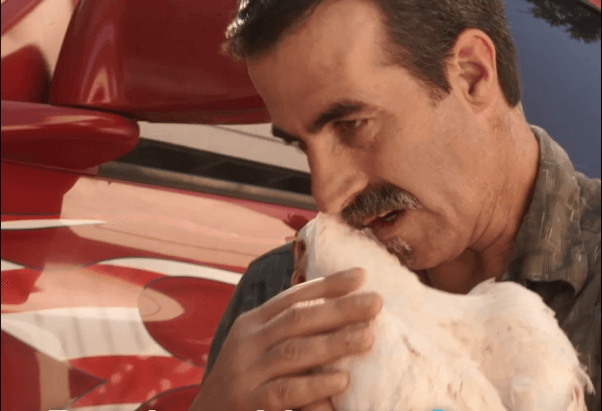 truck drivers rescue of lucky the chicken from slaughterhouse truck