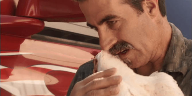 TeachKind Rescue Stories: Lucky and the Good Samaritan Who Saved Her