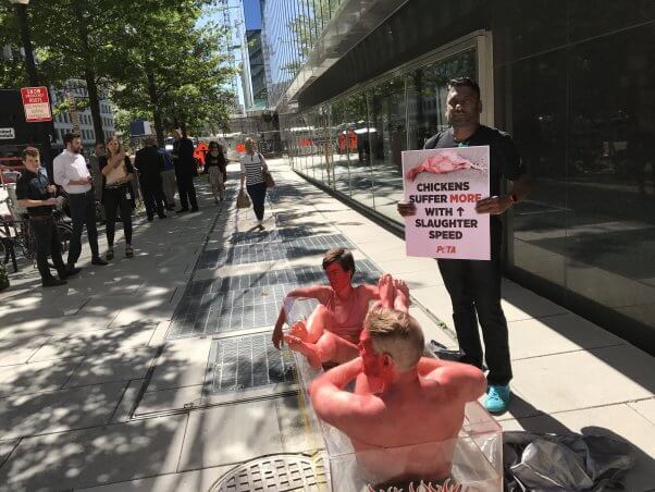 national chicken council, line slaughter speed protest at headquarters, washington dc, scalded chicken demo