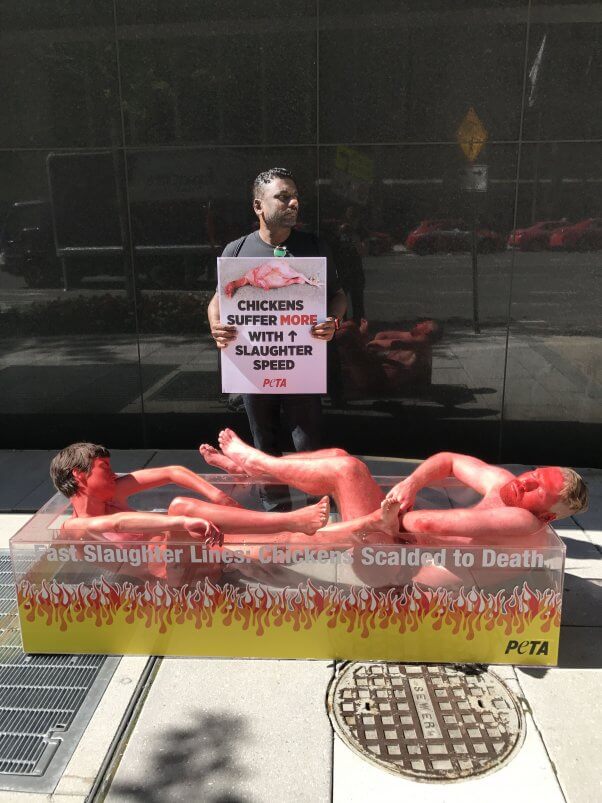 national chicken council, slaughter speed protest at headquarters, washington dc
