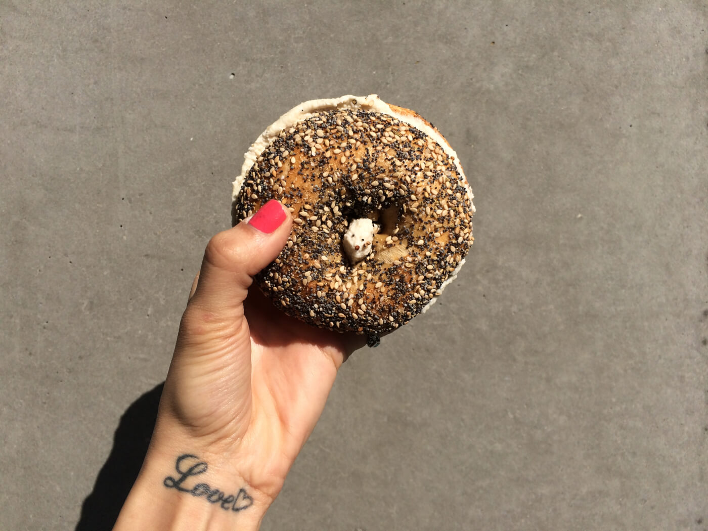 Things Only a Jewish Vegan Would Understand PETA