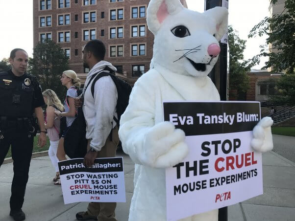 peta demo at university of pittsburgh over mice sepsis experiments outside board of regents meeting on campus